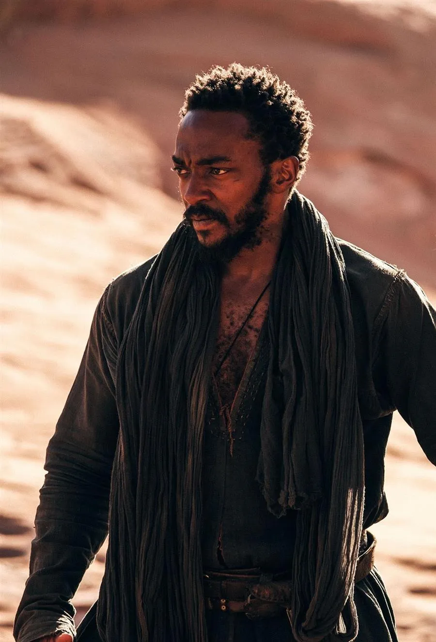 Desert Warrior | engl. OV