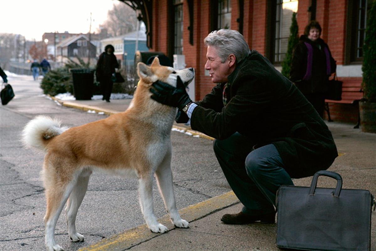 hachiko-eine-wunderbare-freundschaft-astor-grand-cinema-hannover