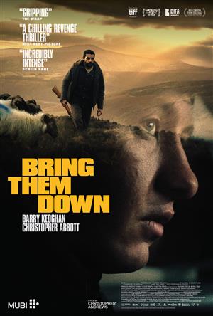 Bring them down | engl./irish OmeU